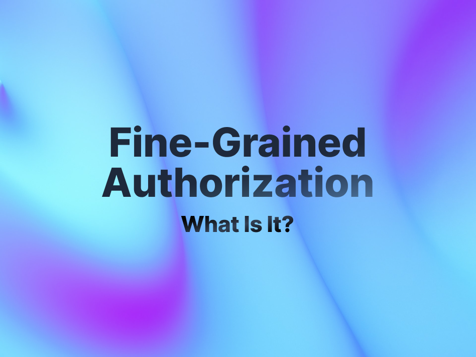 Fine-Grained Authorization: What Is It?